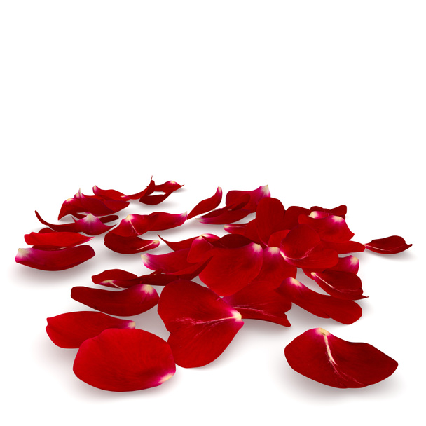 Ciemny czerwony płatki róży, leżącego na podłodze - Zdjęcie, obraz