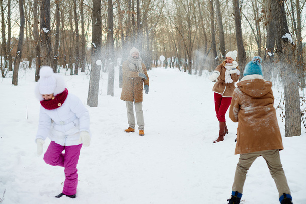 Счастливая семья играет в снежки
 - Фото, изображение