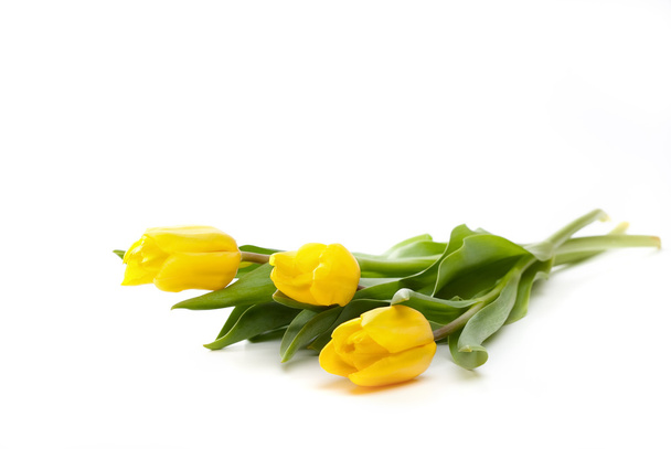 Bunch of beautiful yellow tulips - Foto, imagen