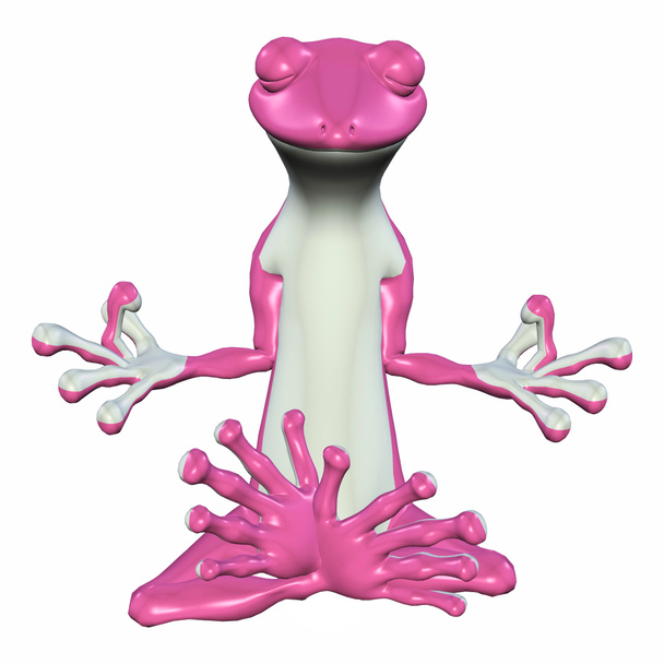 rosa meditierender Gecko - Foto, Bild