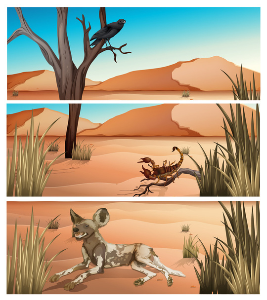 Wildtiere leben in der Wüste - Vektor, Bild