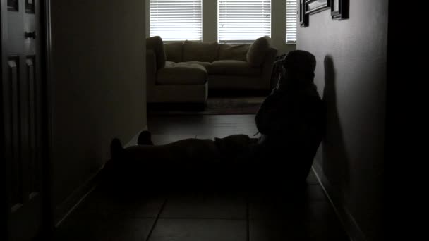 A soldier's dog rises to comfort him in the hallway, 4K - Footage, Video