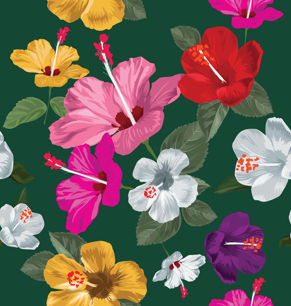 Hibiscus seamless  pattern - Vettoriali, immagini