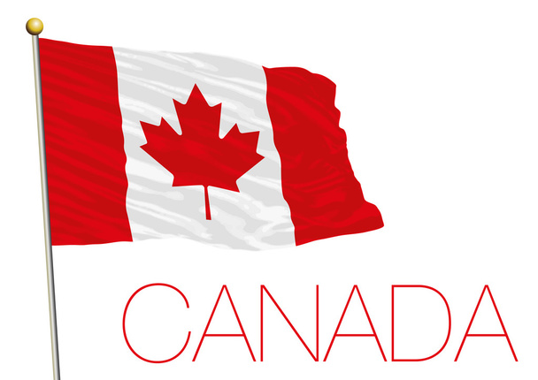 Flaga Kanady na białym tle na białym tle - Wektor, obraz