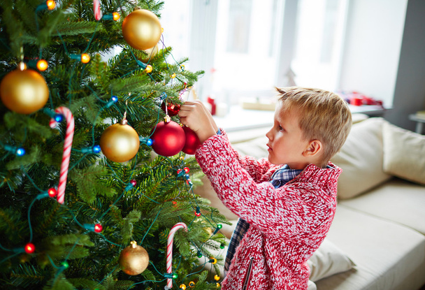 Youthful child decorating Christmas tree - 写真・画像