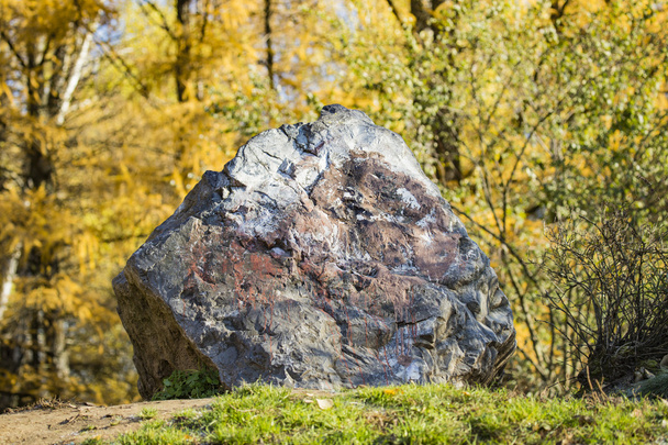 stone in the forest - Foto, afbeelding