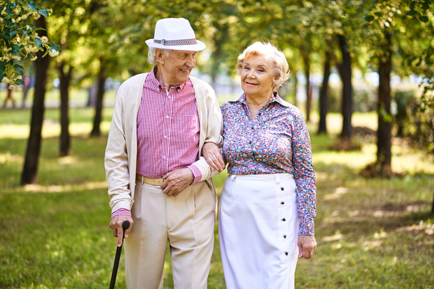 Feliz seniors caminando juntos
 - Foto, Imagen