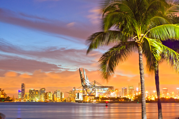 Miami Downtown and port sunset panorama - Foto, afbeelding