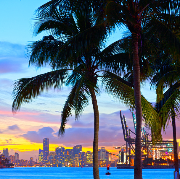Miami Downtown and port sunset panorama - 写真・画像