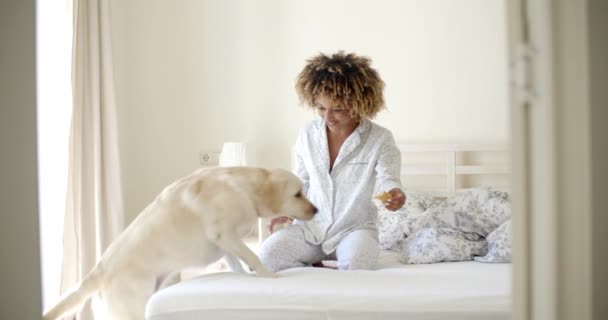 mulher brincando com cão na cama
 - Filmagem, Vídeo