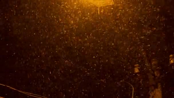 Snow Falling in Streetlight Beams at Night 1 - Footage, Video
