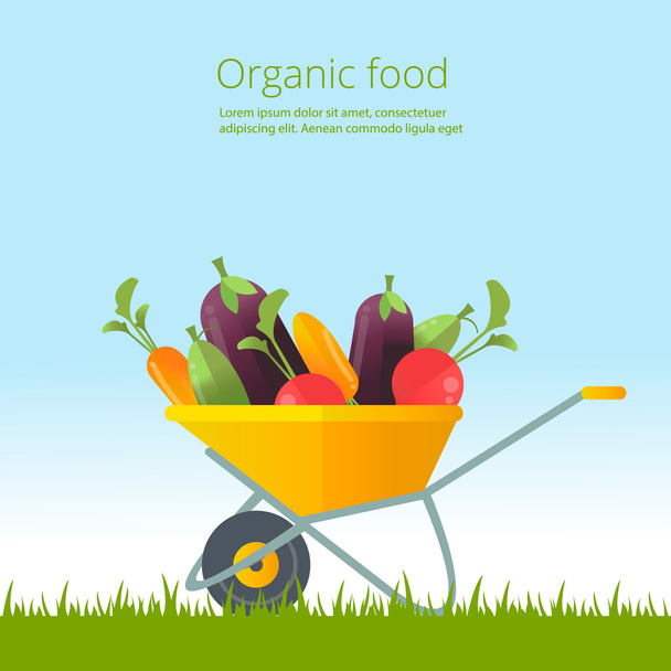 Organic vegetables concept. Wheelbarrow with fresh vegetables. Organic cultivation of  vegetables.vector flat illustration - Vector, Image