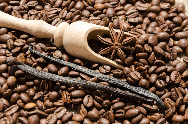 vanilla with coffee grains, cinnamon and aniseed - Fotografie, Obrázek