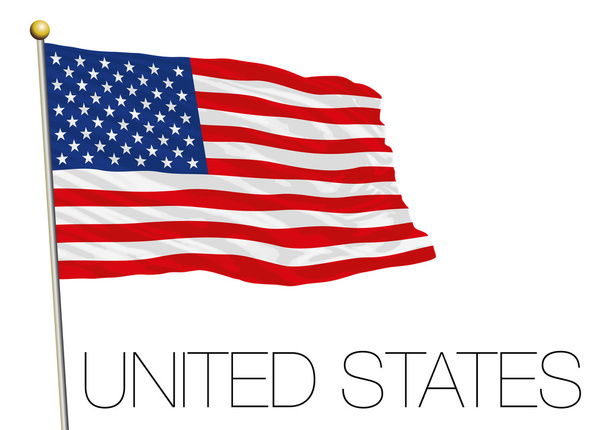 Amerika Birleşik Devletleri bayrağı rüzgarda izole - Vektör, Görsel