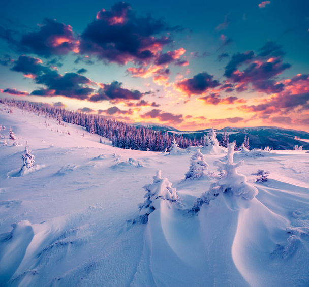 χειμωνιάτικο σκηνικό στα Καρπάθια Όρη. - Φωτογραφία, εικόνα