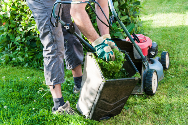 Человек стрижет газон в своем саду - Фото, изображение