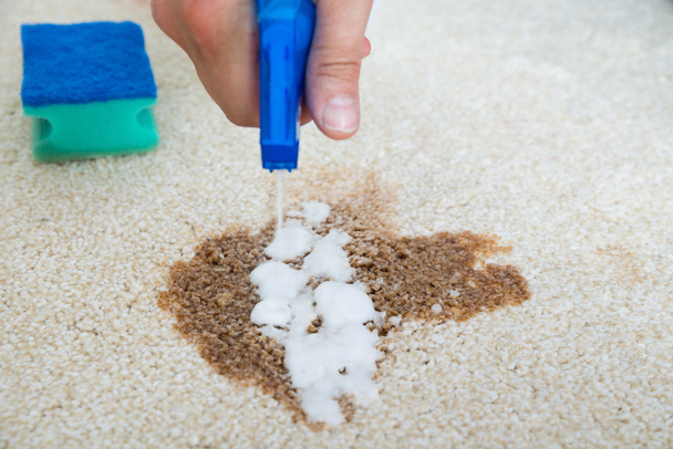 Man Cleaning Stain On Carpet - Foto, immagini