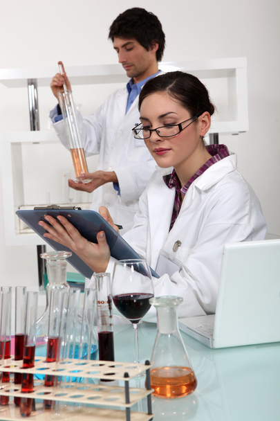 Wine experts in a lab - Фото, изображение