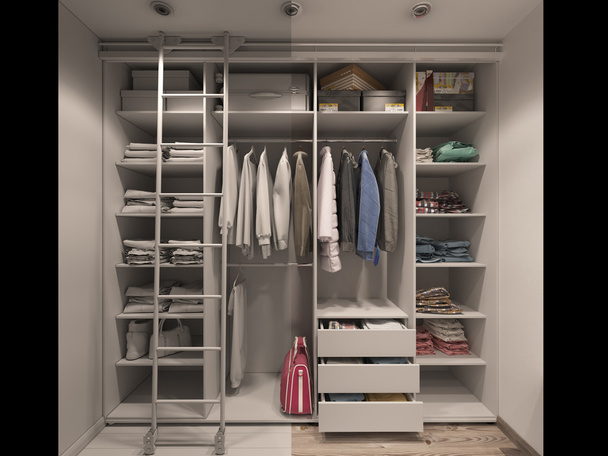 3D illustration of the wardrobe room in light tones. Render without textures and shaders - Photo, image