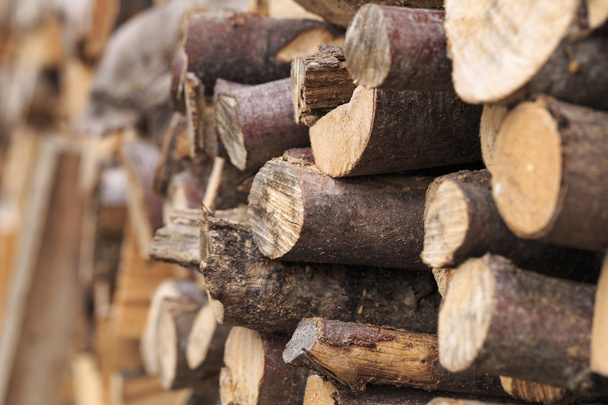 Une pile de bois de chauffage - Photo, image