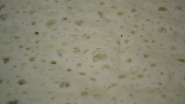 Yeast dough bubbling fills the frame - Footage, Video