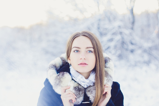 Beautiful girl in winter - Foto, Imagem