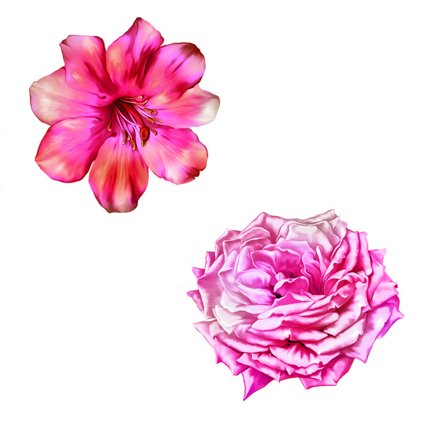 Beautiful pink flowers - Foto, immagini