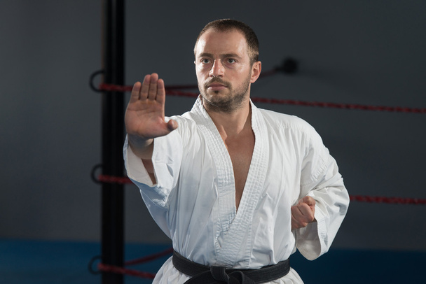 Black Belt Karate Expert With Fight Stance - 写真・画像