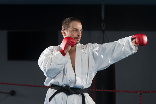 Taekwondo Fighter Pose - Zdjęcie, obraz