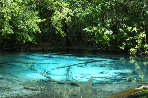 Naturaleza del estanque Esmeralda o Azul en el bosque profundo
 - Foto, imagen