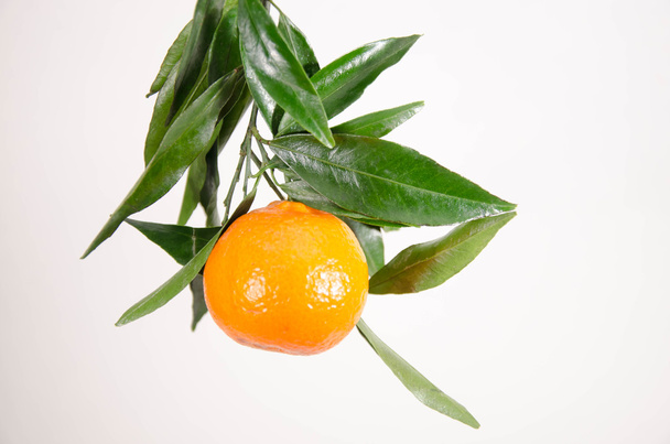 Mandarinkové ovoce pomeranč - Fotografie, Obrázek