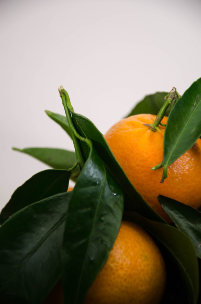Mandarijn vruchten oranje - Foto, afbeelding