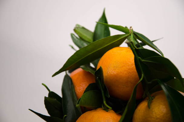 ミカンの果実オレンジ - 写真・画像