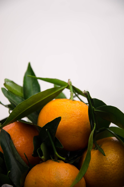 πορτοκαλί μανταρίνι φρούτων - Φωτογραφία, εικόνα