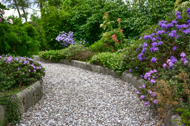 Lush blooming summer garden with paved path - Фото, изображение