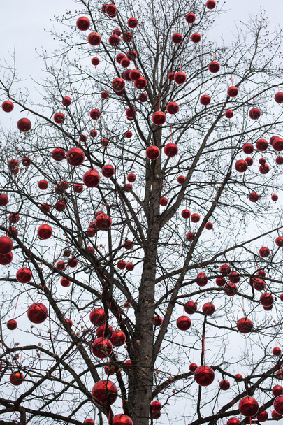Boom met rode kerstballen - Foto, afbeelding