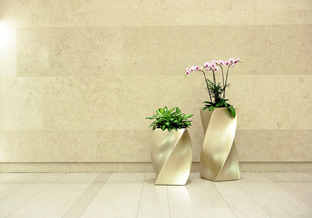 Kaunis orkidea aulassa
 - Valokuva, kuva
