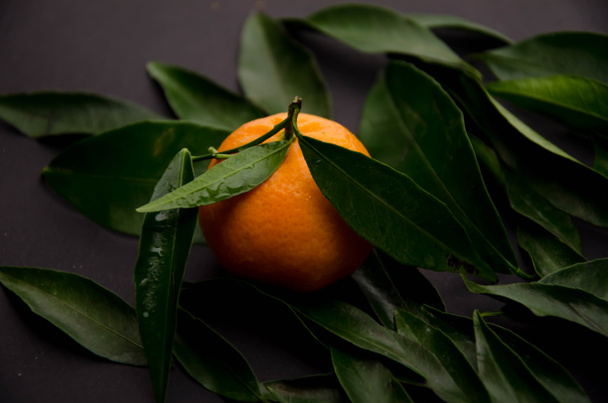 Dialekt mandaryński owoców tła - Zdjęcie, obraz