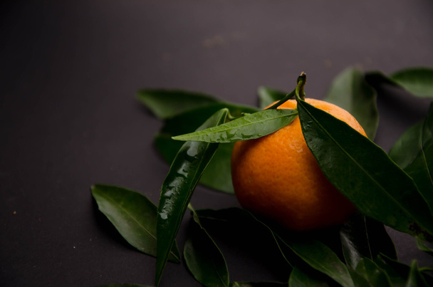 Mandarinenfrucht Hintergründe - Foto, Bild
