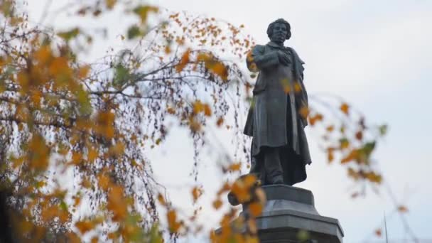 Adam Mickiewicz-emlékmű, Varsó, Lengyelország - Felvétel, videó