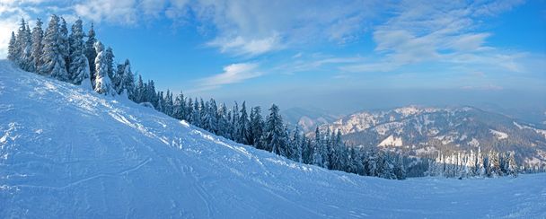 Πανόραμα του σκι πίστα το ιστορικό του ελατόδασος - Φωτογραφία, εικόνα