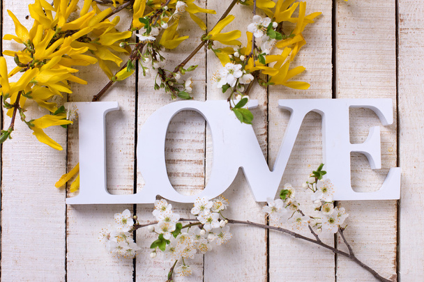 Word love and flowering branches - Foto, Bild