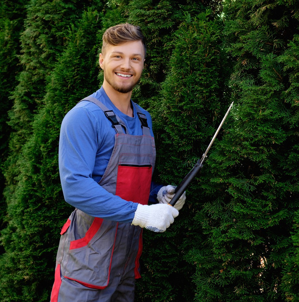 gardener cutting trees with clippers - Photo, Image