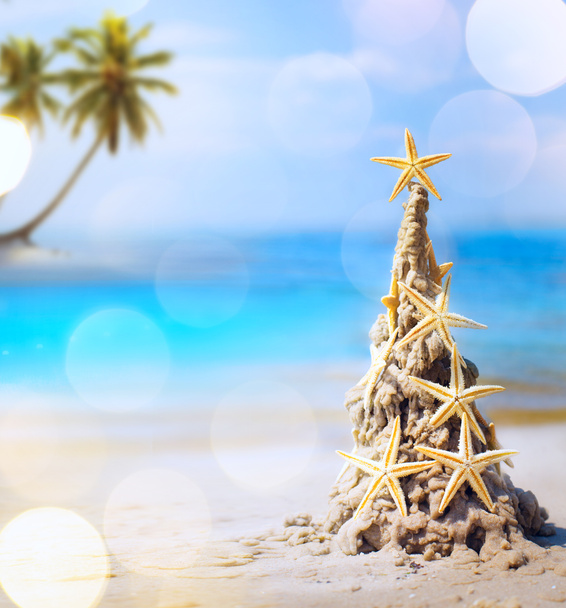 arte tropical Navidad vacaciones
 - Foto, imagen