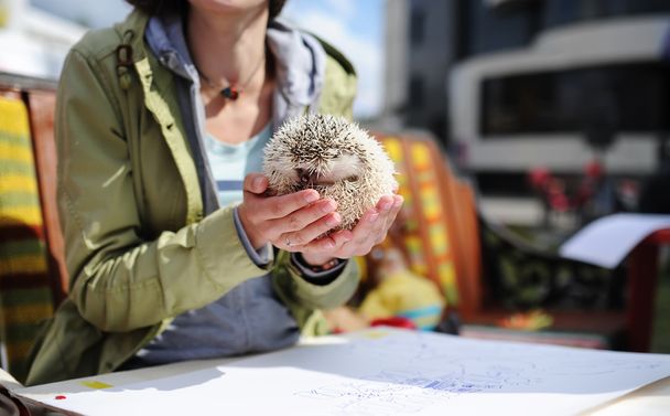 The woman holds a little hedgehog in hand - Photo, Image