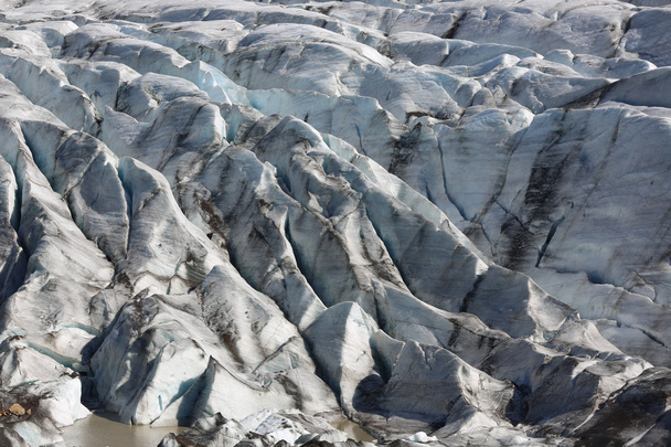 Svinafellsjokull ledovec. Island - Fotografie, Obrázek