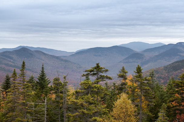 Fall Foliage in New England - Photo, image