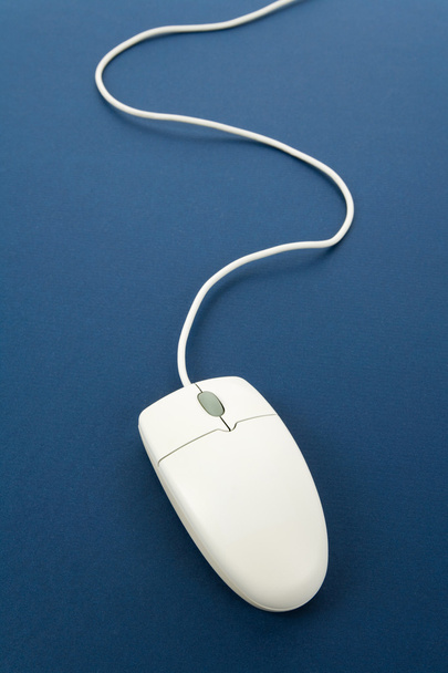 Ποντίκι υπολογιστή - Φωτογραφία, εικόνα
