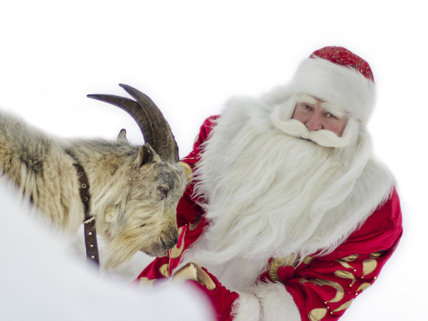Santa Claus with a goat - Photo, image