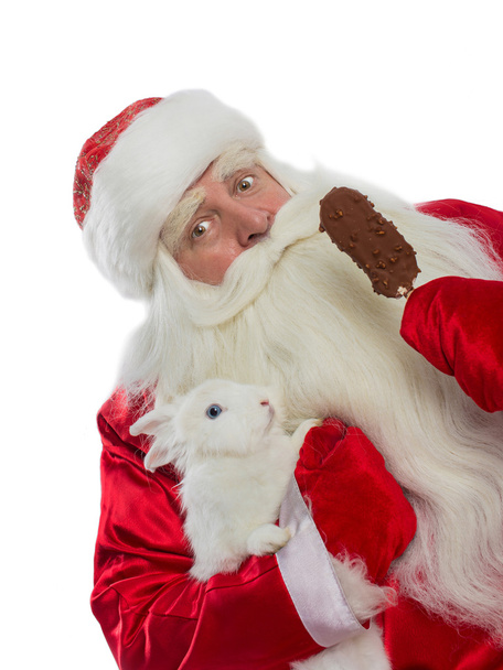 Santa Claus and his rabbit - Foto, Imagem